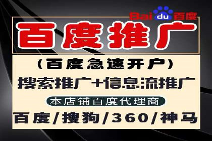 行业领先企业的SEM竞价代运营成功案例揭秘